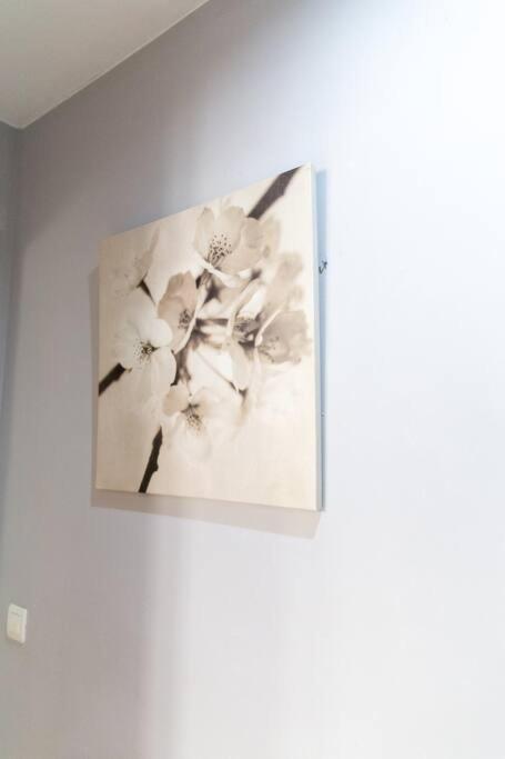 Pasquin Apartment Cadiz Ngoại thất bức ảnh
